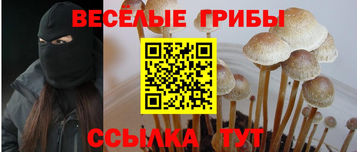 Балашиха  Галлюциногенные грибы Psilocybe  Псилоцибиновые грибы Psilocybine cubensis  Вход с VPN 