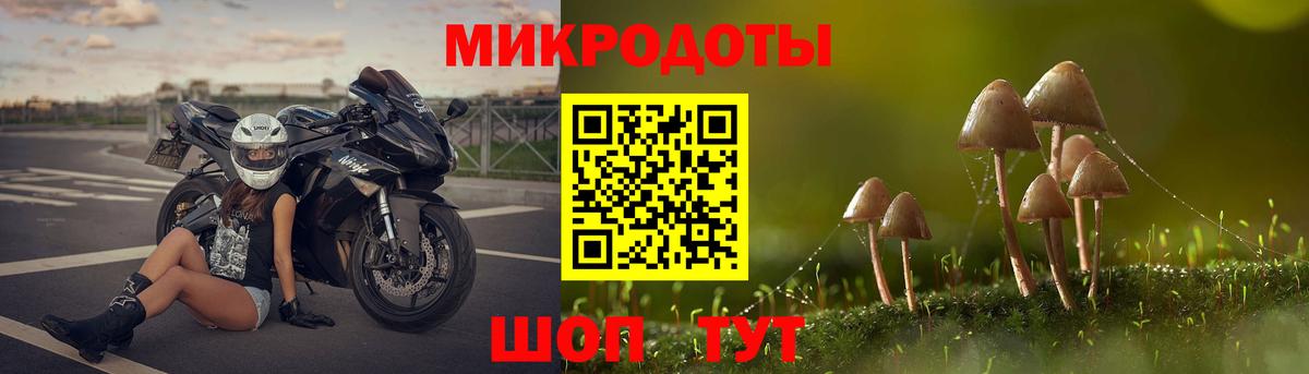 Псилоцибиновые грибы мухоморы Балашиха